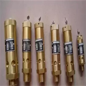 20171218555871.jpg 安全閥.jpg