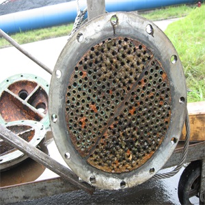 20171218581908.jpg 冷卻器清洗.jpg